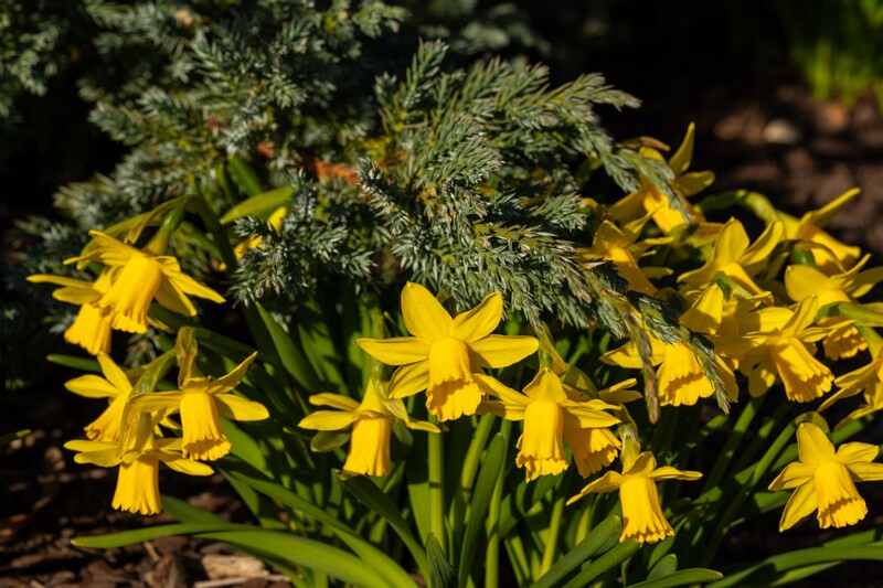 tallinna-loomaaed 2025-04-06 1-80