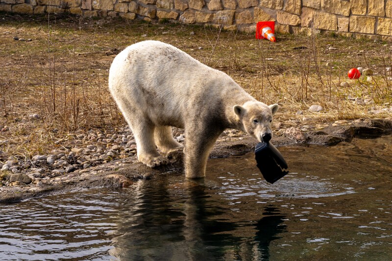 tallinna-loomaaed 2025-04-06 1-9