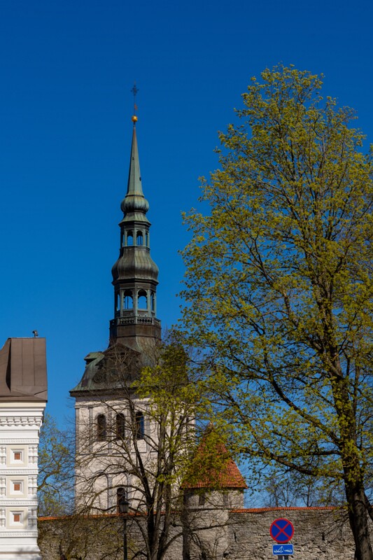 tallinna-niguliste-kirik 2025-05-03 1-2