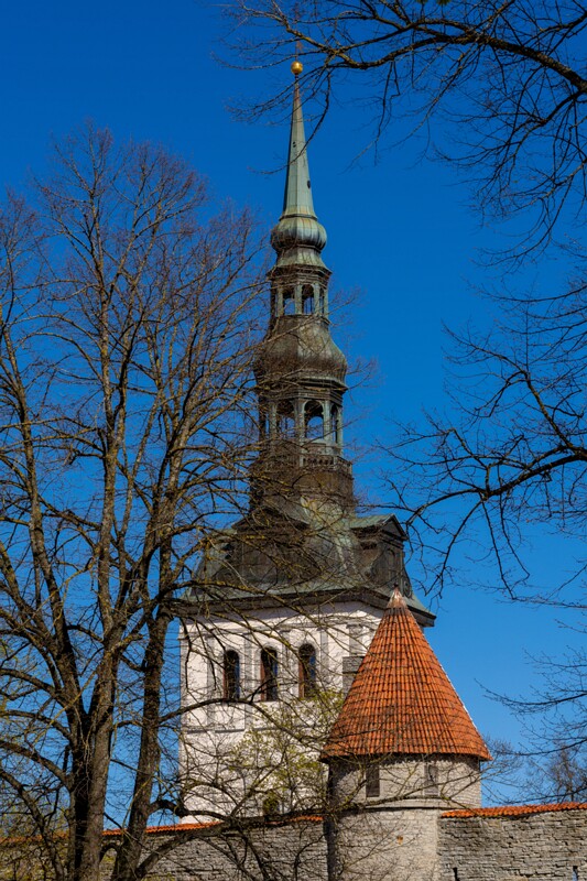 tallinna-niguliste-kirik 2025-05-03 2-1