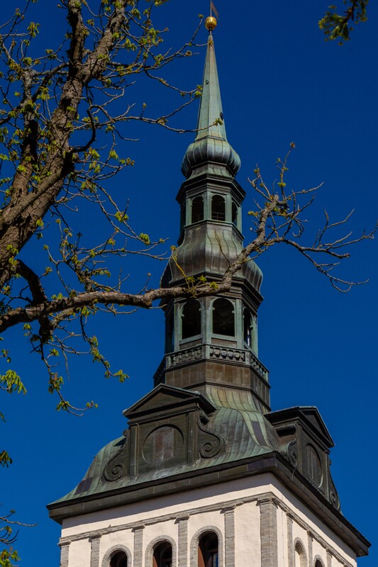 tallinna-niguliste-kirik 2025-05-03 2-12