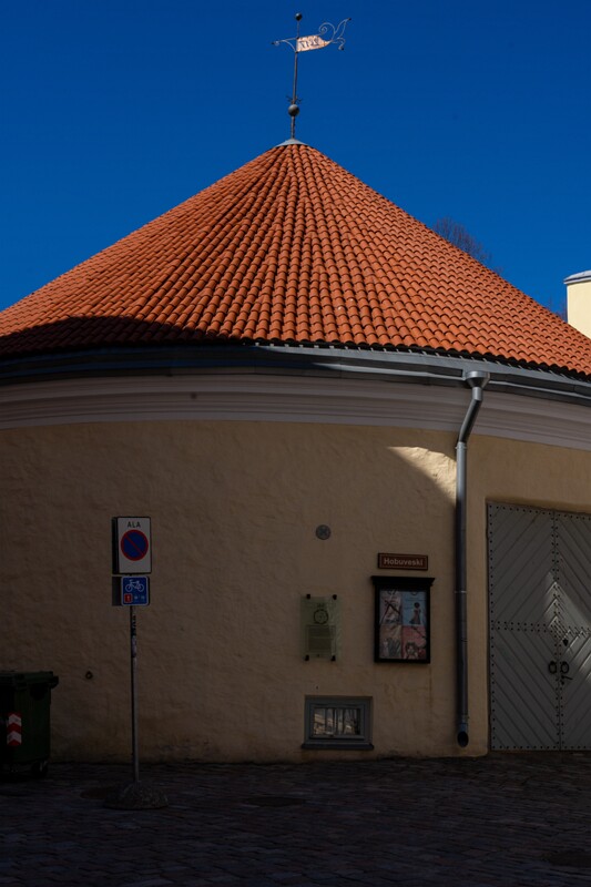 tallinna-hobuveski 2025-05-03 1-3