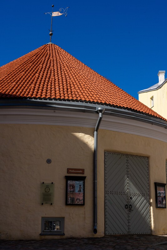 tallinna-hobuveski 2025-05-03 1-5