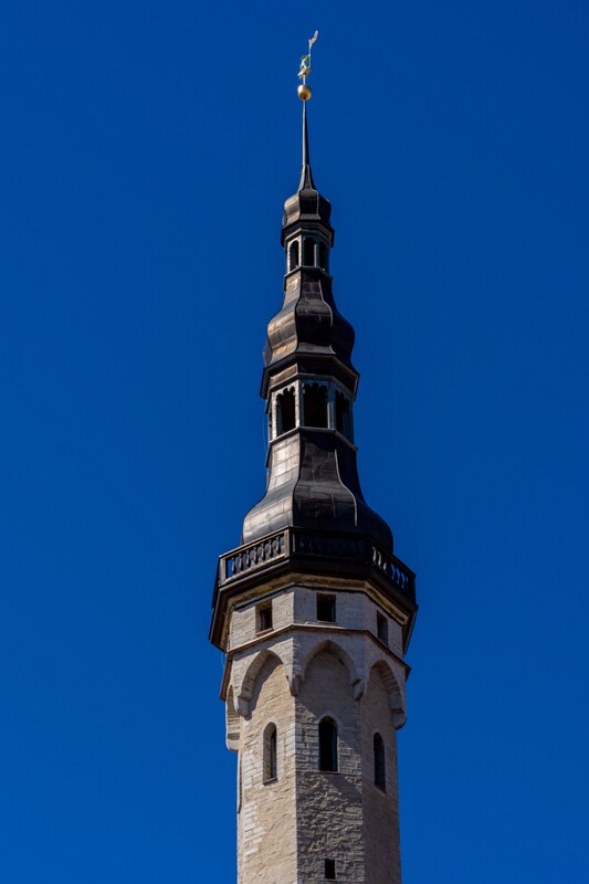 tallinna-raekoda 2025-05-03 1-1