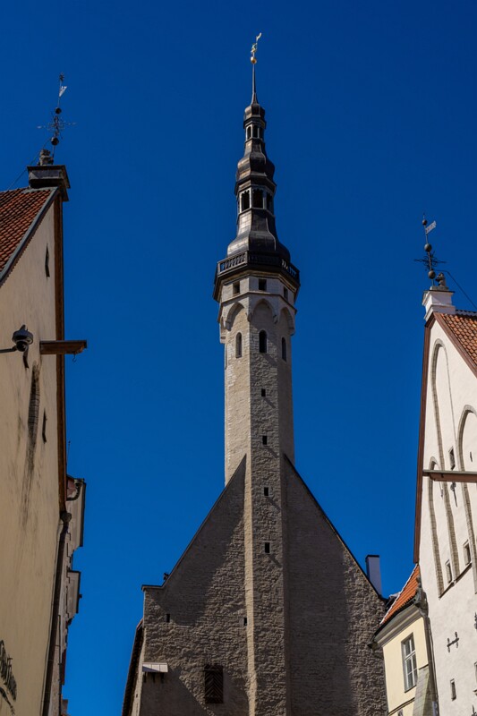 tallinna-raekoda 2025-05-03 1-3