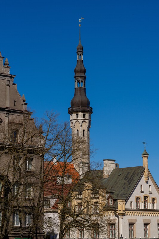 tallinna-raekoda 2025-05-03 2-1