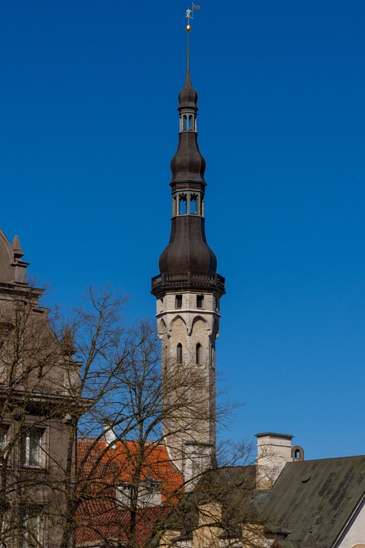 tallinna-raekoda 2025-05-03 2-2