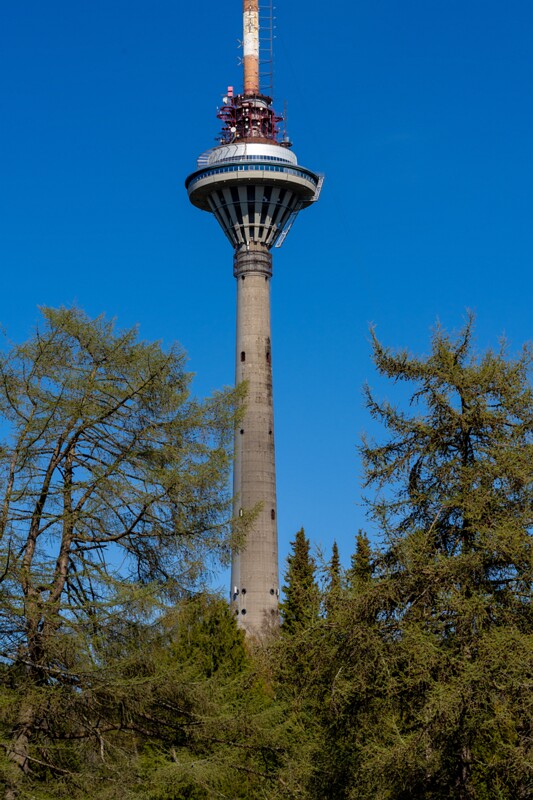 tallinna-botaanikaaed 2025-04-26 1-24