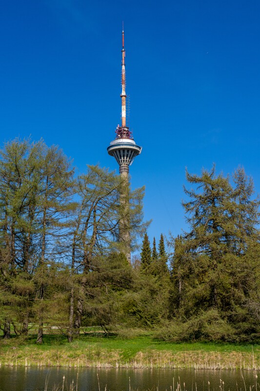 tallinna-botaanikaaed 2025-04-26 1-25