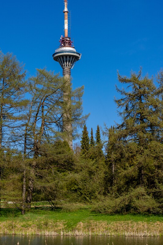 tallinna-botaanikaaed 2025-04-26 1-26