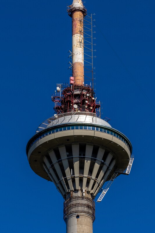 tallinna-botaanikaaed 2025-04-26 1-63