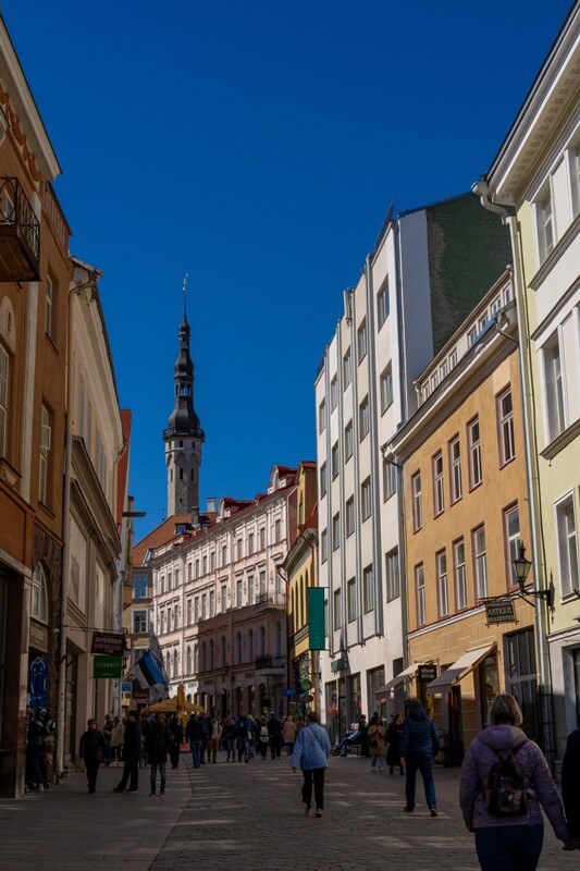 tallinna-syudalinn 2025-05-03 1-1