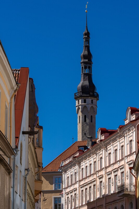 tallinna-syudalinn 2025-05-03 1-2