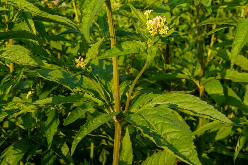 toolse-ordilinnus-58