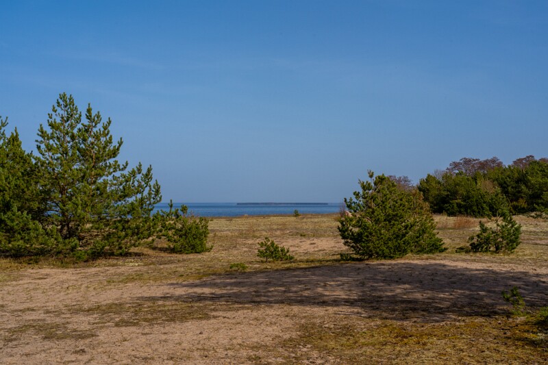 uitru-säär 2025-04-18 1-1