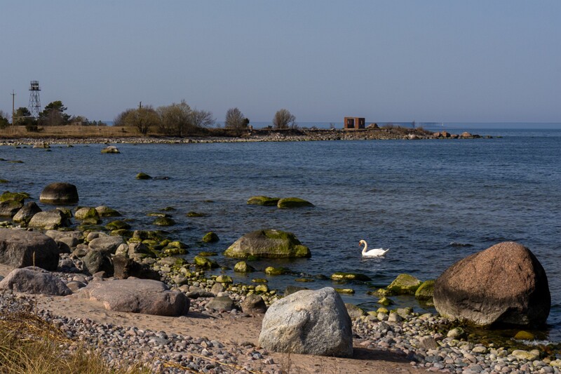 uitru-säär 2025-04-18 1-12