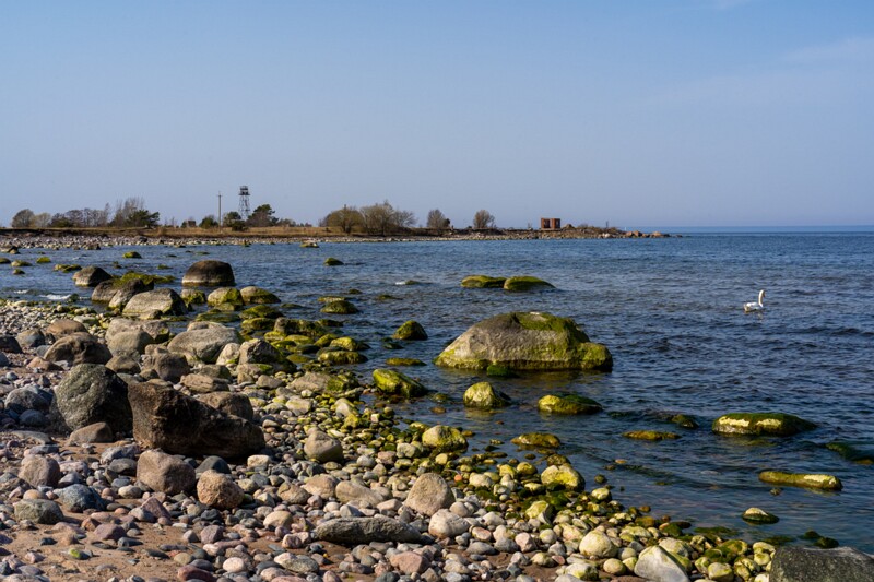 uitru-säär 2025-04-18 1-13