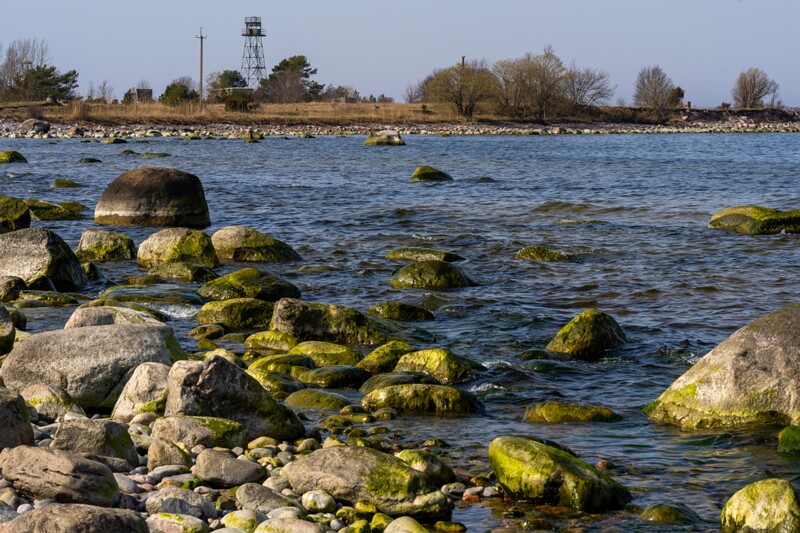 uitru-säär 2025-04-18 1-17