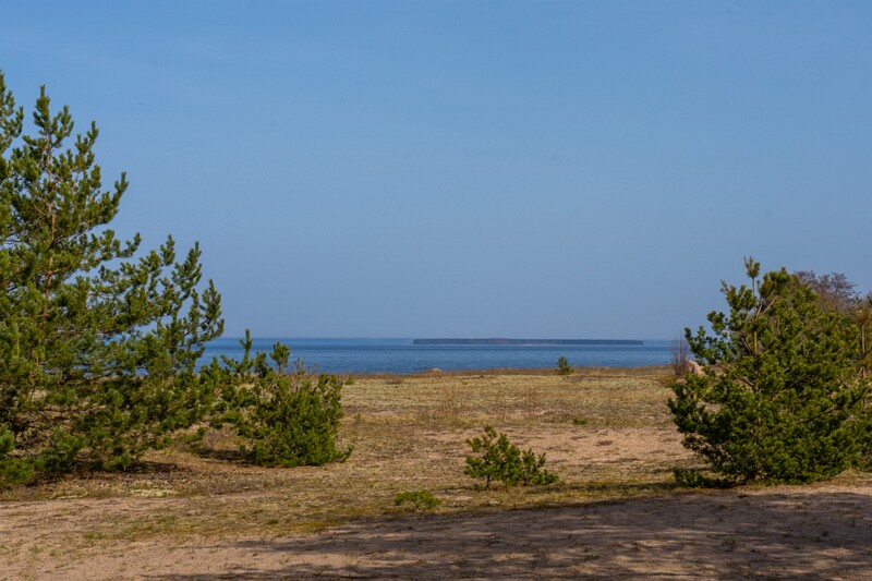 uitru-säär 2025-04-18 1-2