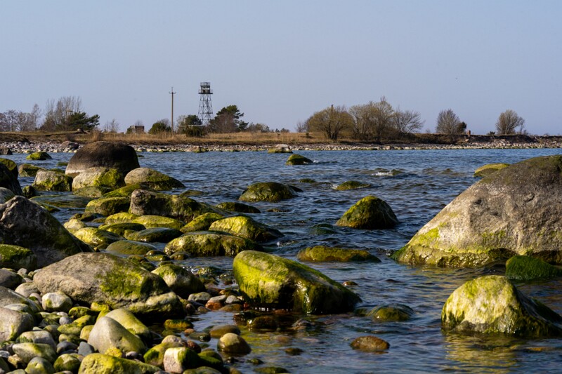 uitru-säär 2025-04-18 1-20