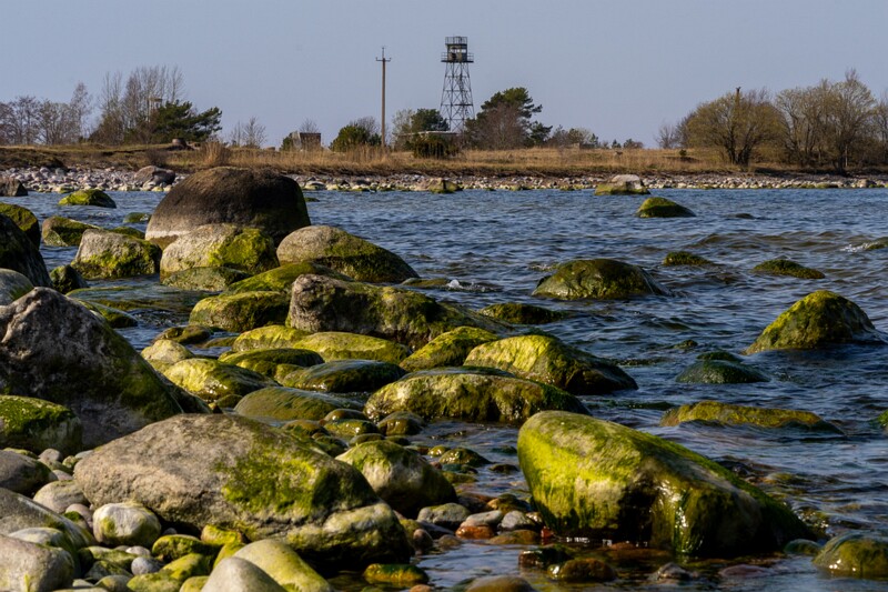 uitru-säär 2025-04-18 1-21