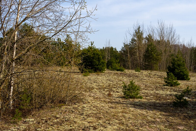 uitru-säär 2025-04-18 1-26