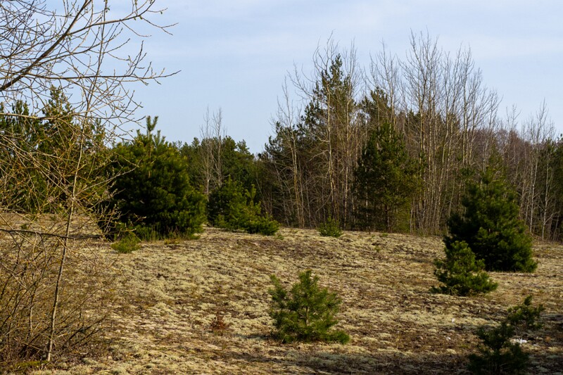 uitru-säär 2025-04-18 1-27