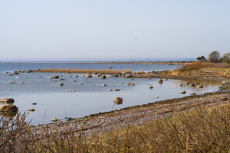 uitru-säär 2025-04-18 1-29