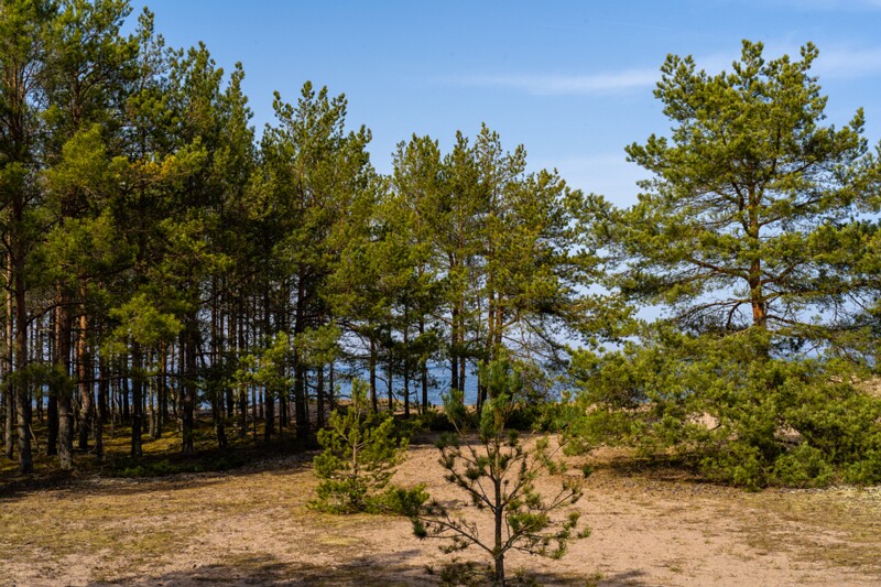 uitru-säär 2025-04-18 1-3