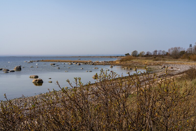 uitru-säär 2025-04-18 1-30