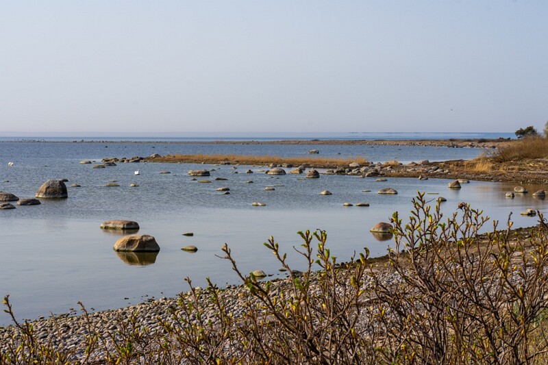 uitru-säär 2025-04-18 1-31