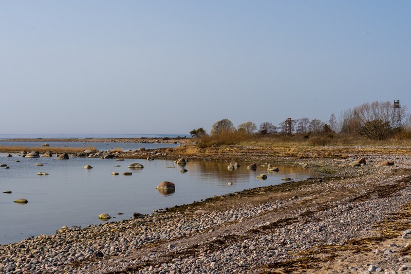 uitru-säär 2025-04-18 1-33