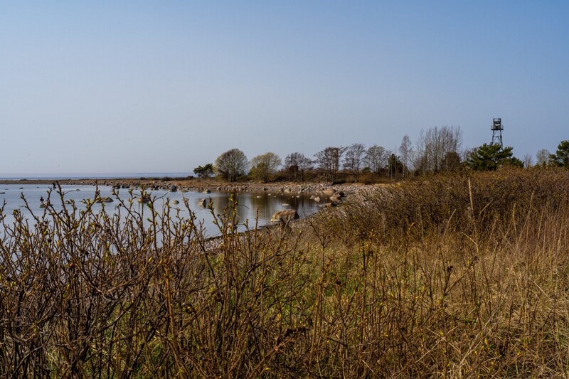 uitru-säär 2025-04-18 1-36