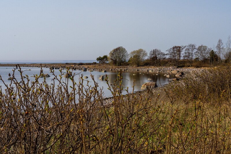 uitru-säär 2025-04-18 1-37