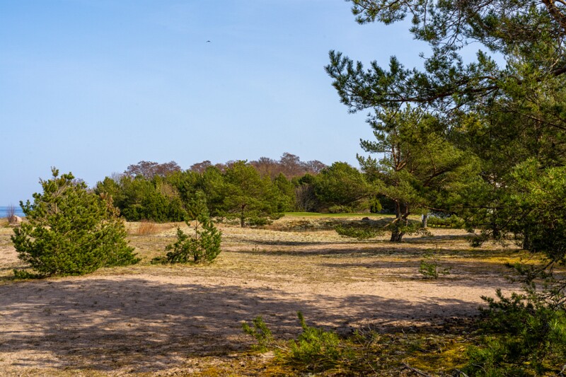 uitru-säär 2025-04-18 1-4