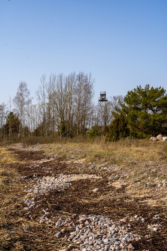 uitru-säär 2025-04-18 1-44