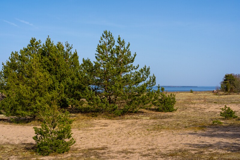 uitru-säär 2025-04-18 1-5