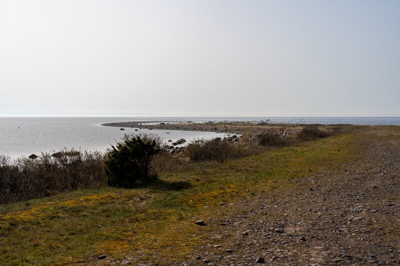 uitru-säär 2025-04-18 1-51