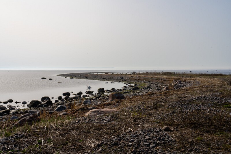 uitru-säär 2025-04-18 1-52