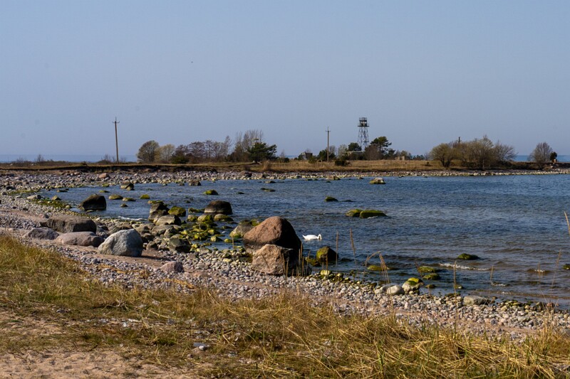 uitru-säär 2025-04-18 1-8