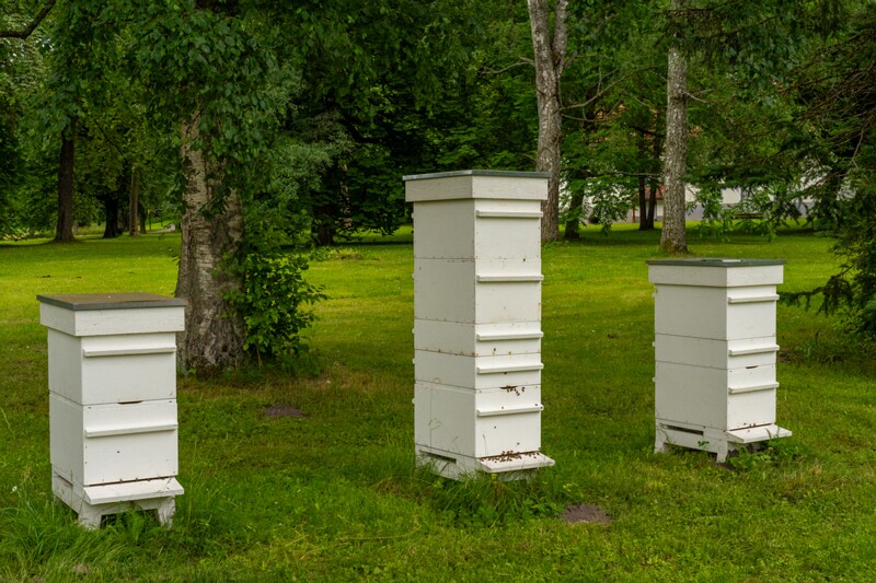 eesti-vabariigi-presidenti-kantselei-10