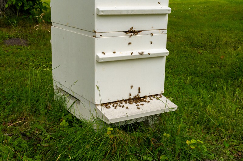 eesti-vabariigi-presidenti-kantselei-12