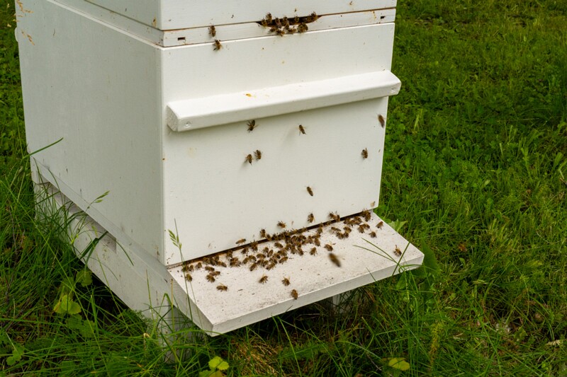 eesti-vabariigi-presidenti-kantselei-14