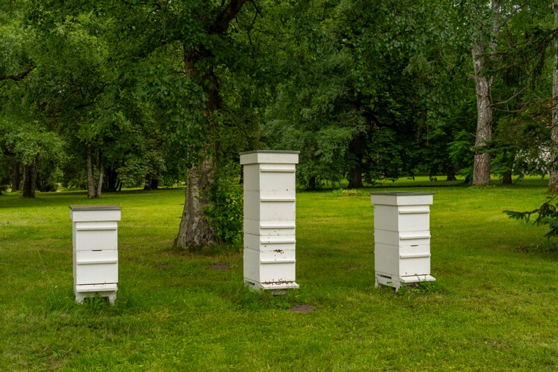 eesti-vabariigi-presidenti-kantselei-8