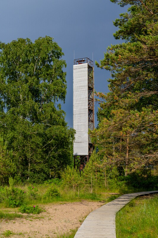 Vainupea tulepaak  2026-06-21 1-1
