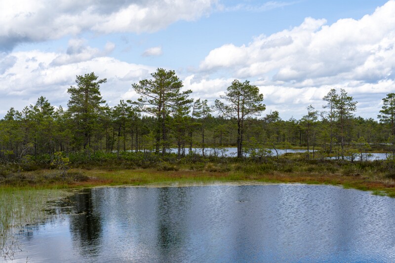 viru-raba 2025-06-07 3-18