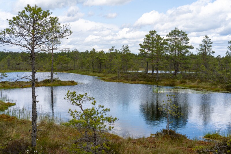 viru-raba 2025-06-07 3-19