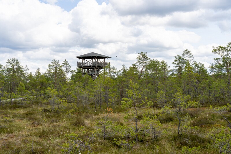 viru-raba 2025-06-07 3-20