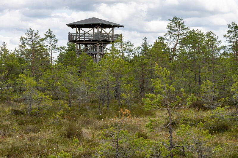 viru-raba 2025-06-07 3-21