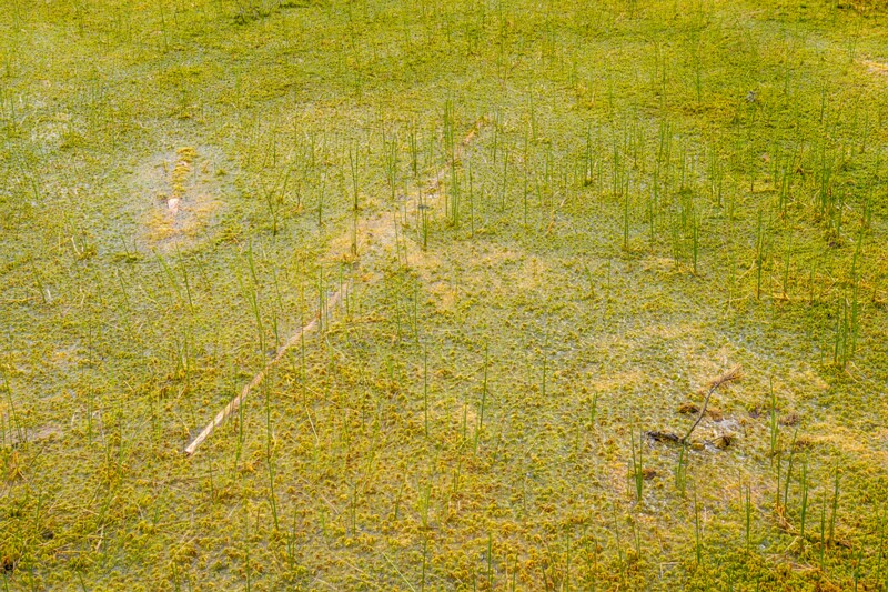 viru-raba 2025-06-07 3-25